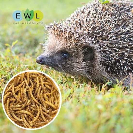 Gedroogde Sprinkhanen 15 gram voor kleine knaagdieren! | DRD