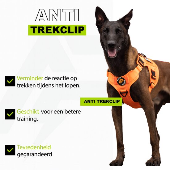 Orange Anti-Trek tuig voor honden, gezien van voren. Rode hond met oranje tuig ernaast.
