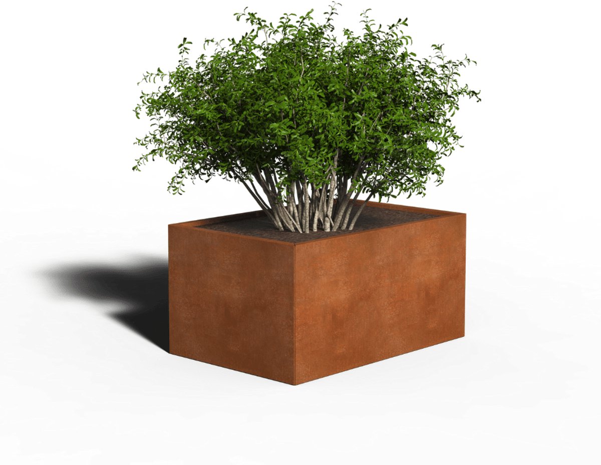 Cortenstaal Plantenbak Rechthoek | 120 x 80 x 30 | Zonder bodem
