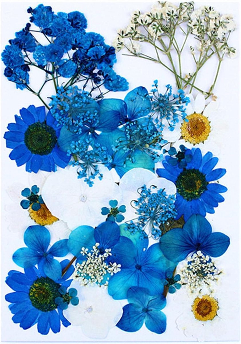 Cosensi - Decoratieve droogbloemen voor sieraden maken, epoxyhars en scrapbooking, 37 stuks
