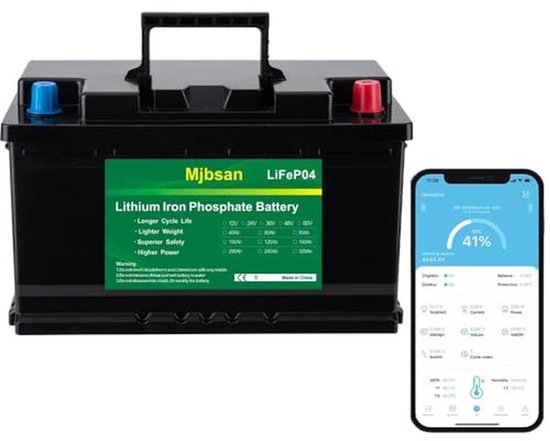 Krachtige 12V LiFePO4 Accu met 100Ah en 4000-8000 cycli voor Caravans, Camping en Zonne-energie