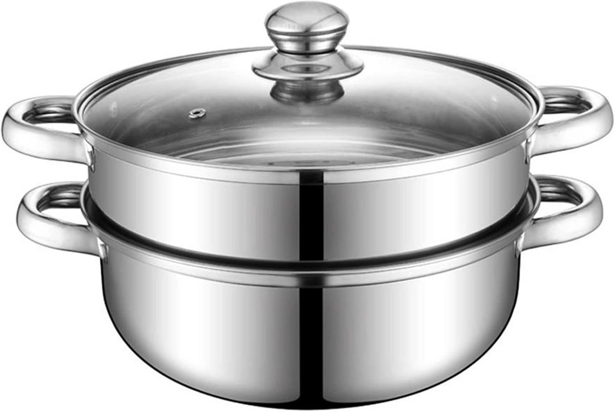 Stoompan 28 cm Roestvrij Staal 2 Laags voor Groenten en Dumplings