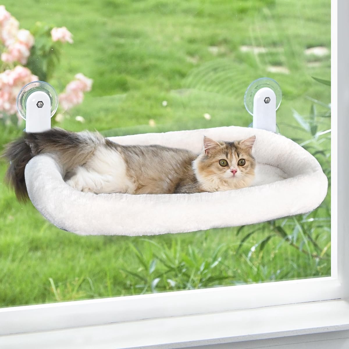 Kattenhangmat voor het Raam - Comfortabel Kattenbed met Sterke Zuignappen - Slaapplek voor Binnenkatten