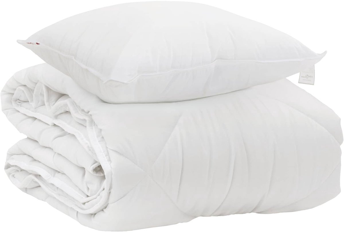 Het Duvet voor Elk Seizoen met kussen 2 st | Beddengoed Wit Microvezel