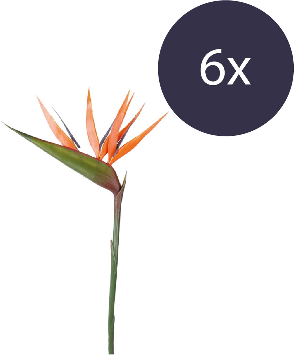 Emerald Kunstbloem Paradijsvogelbloem 90cm oranje - Set van 6 - Kunstplant voor binnen