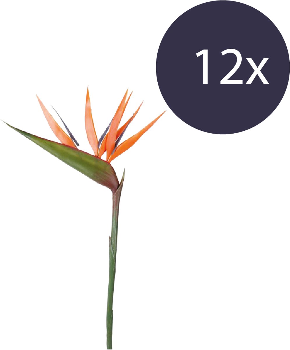 Emerald Kunstbloem Paradijsvogelbloem 90cm oranje - Set van 12 - Kunstplant voor binnen