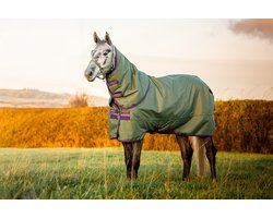Horseware Deken Horseware Amigo Hero Plus Med 200gr Pony Groen - 85/130