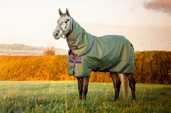 Horseware Deken Horseware Amigo Hero Plus Med 200gr Pony Groen - 85/130 Horseware Deken Horseware Amigo Hero Plus Med 200gr Pony Groen - 85/130