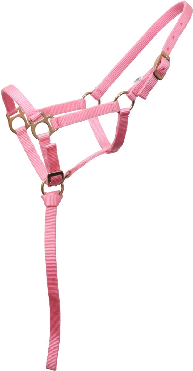 Barato Veulenhalster Roze