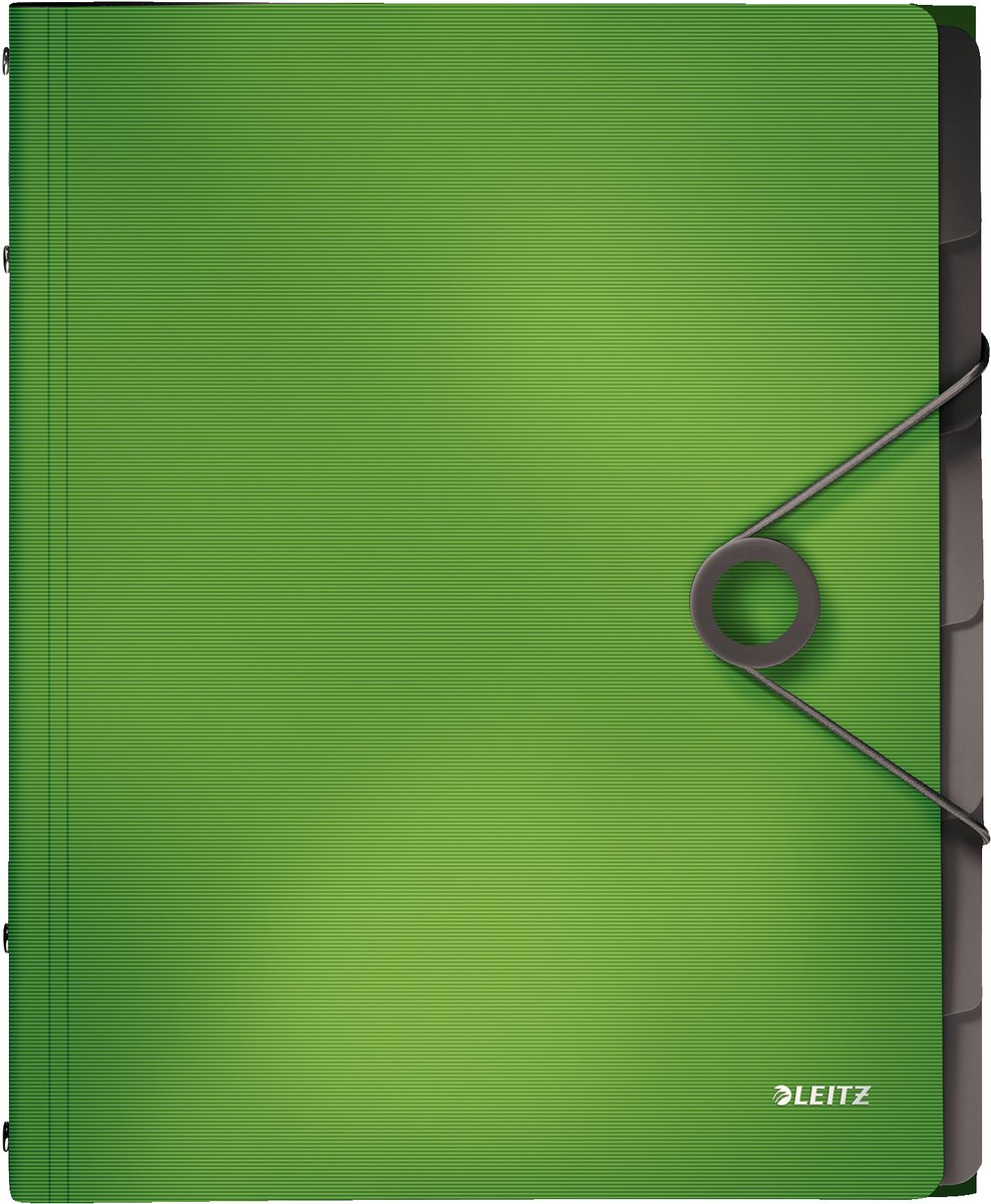 LEITZ ordnersmap Solid A4 PP 6 vakken lichtgroen