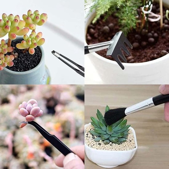13-delige set - Vetplantentuinset - Tuingereedschapsset - Mini-tuingereedschap voor binnen - Vetplantenverplantingsset - Duurzaam - Zwart - Perfect voor kleine potplanten, kruidentuinverzorging en verzorging van kleine planten van Merkloos	 — afbeelding 3