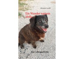 Ein Wunder namens Molla