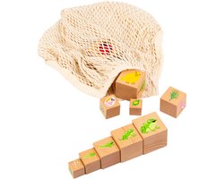Levenscyclus blokken - Educo