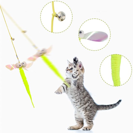 Een cyperse kitten kijkt omhoog en springt naar een libelle-vormig kattenspeeltje met glanzende vleugels, een groen lichaam en grote ogen.