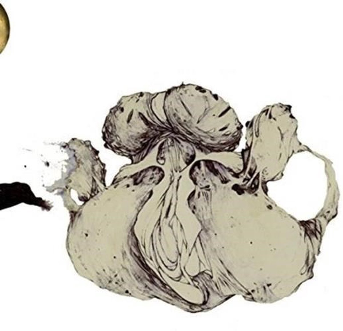 Coil - The Ape Of Naples (2 LP)