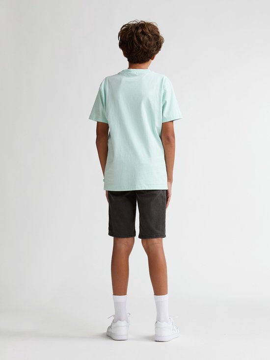 Petrol Industries - Jongens T-shirt met rugprint Viento - Groen - Maat 164