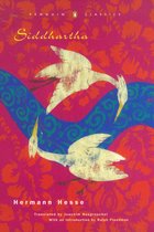 Boekkaft van Siddhartha van Hermann Hesse met een roze achtergrond en twee witte vogels die boven een blauwe rivier vliegen.