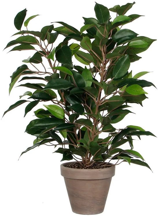 Een Ficus Natsja kunstplant met glanzende, donkergroene bladeren in een grijs-bruine pot.