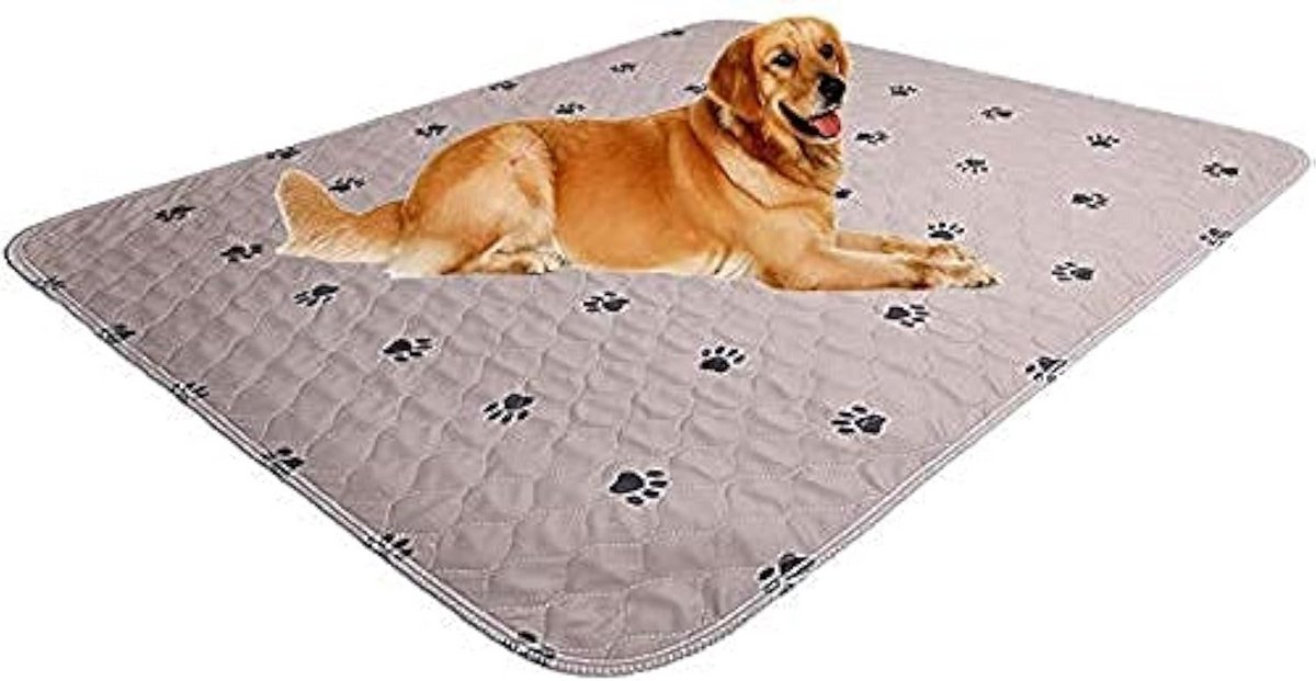 Wasbare plasmat en verzorgingshandschoenen voor puppy's - Training, Reis en Huisdiercomfort