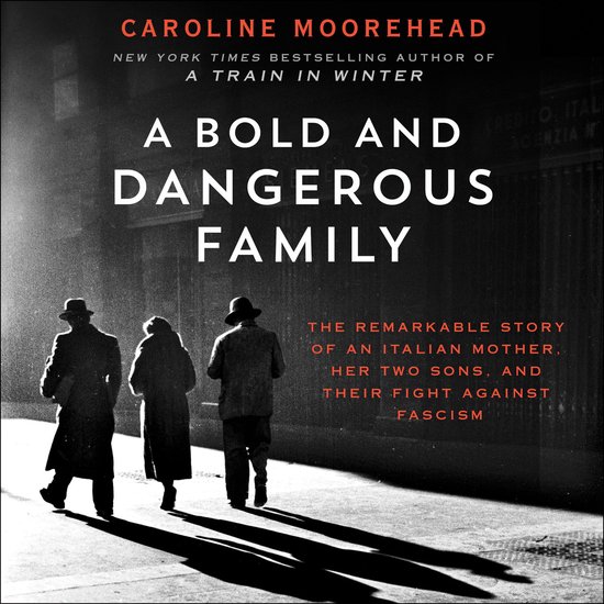 A Bold and Dangerous Family - cover