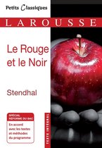 livre numérique
