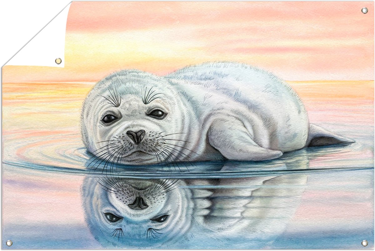 Zeehondenpup bij zonsondergang – buiten – tuin – Tuinposter – 90x60 cm