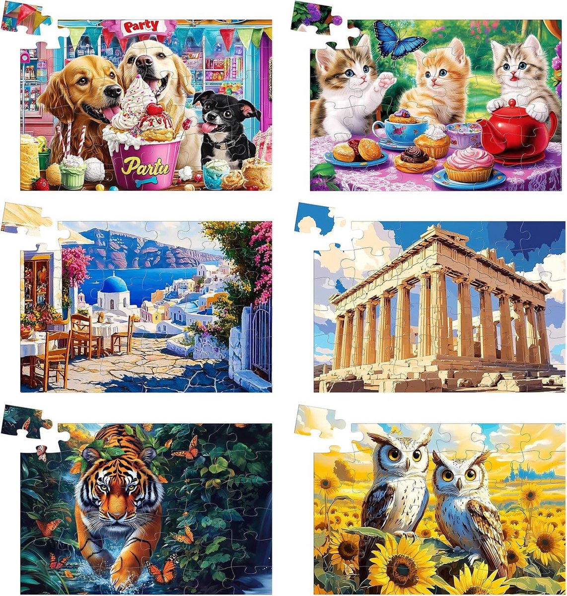 6-Pack 36 Stuks Grote Puzzelstukken - Eenvoudige Puzzels voor Senioren en Dementie