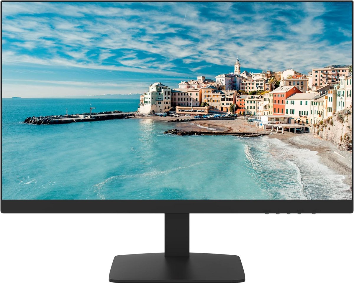 22 Inch Full HD 1080P LED Monitor voor Veiligheid en Bewaking - HDMI & VGA