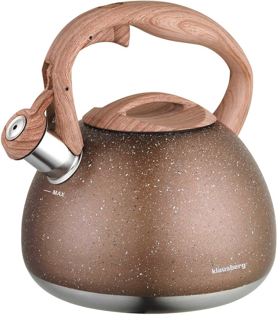 Fluitketel 2,8L RVS voor Alle Warmtebronnen
