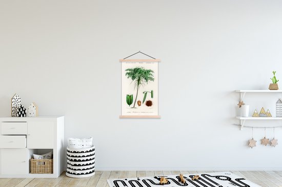Porte-affiche avec affiche - Affiche scolaire - Arbre - Vintage - Graines - 60x90 cm - lattes vierges