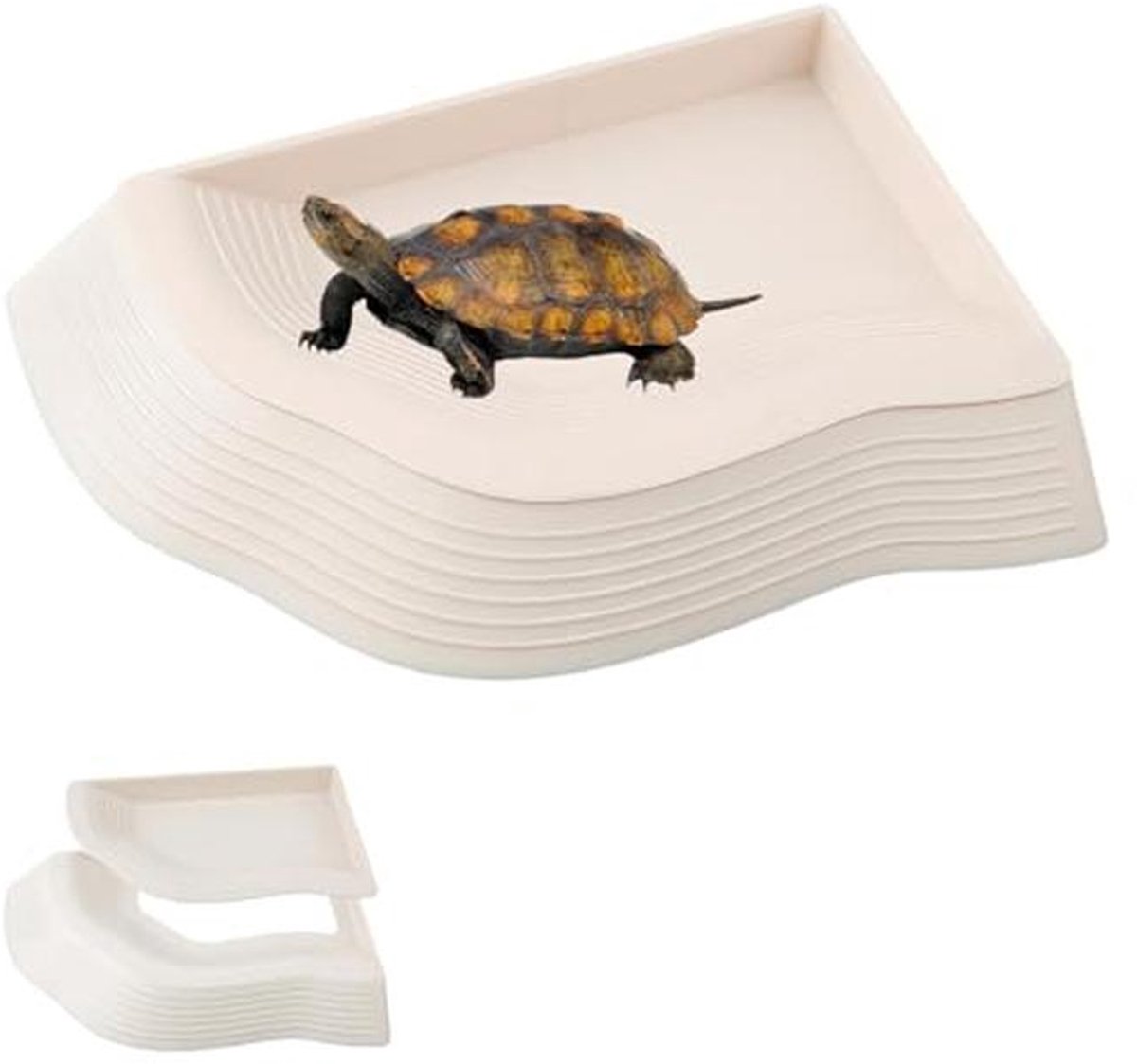 Waterschaal voor kleine reptielen met antislip helling – ideaal voor terrarium en verzorging