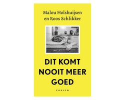 Omslag van Dit komt nooit meer goed