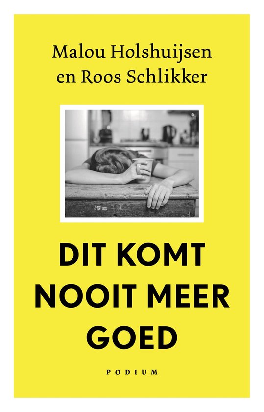 Dit komt nooit meer goed - cover