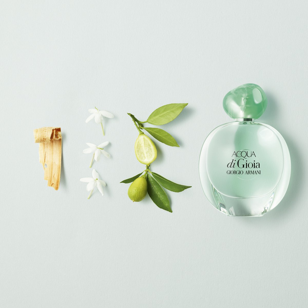 Giorgio Armani Acqua di Gioia 100 ml Eau de Parfum - Damesparfum – foto 6