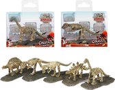 Toi Toys Dinosaurus fossiel (1 stuk) assorti