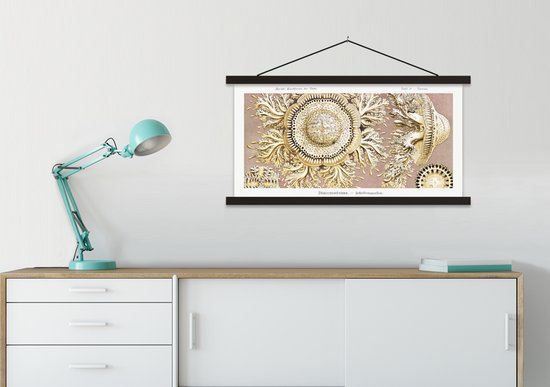 Affiche scolaire - Vintage - Luxe - Méduse - Porte-affiche avec Poster - Ernst Haeckel - Vieux Maître - Lattes Noires - 90x45