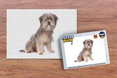 Puzzel Shih Tzu hond op een witte achtergrond - Legpuzzel - Puzzel 1000 stukjes volwassenen