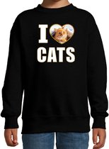 I love cats sweater met dieren foto van een rode kat zwart voor kinderen - cadeau trui katten liefhebber - kinderkleding / kleding 134/146