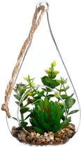 Glazen terrarium, druppelvorm H19.5cm - Overig - groen - Transparent - Crassulas - SILUMEN