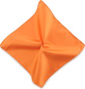 We Love Ties - Pochets - Pochet oranje repp - oranje