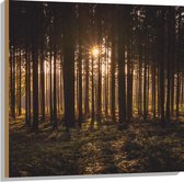 WallClassics - Hout - Ondergaande Zon tussen de Bomen - 80x80 cm - 12 mm dik - Foto op Hout (Met Ophangsysteem)