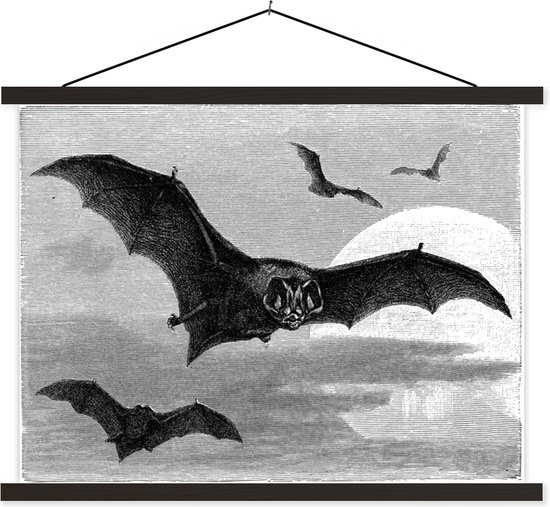 efayant Trésor poitrine avec crâne et chauves-souris dans noir et blanc illustration 60515402