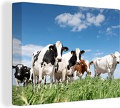 Canvas - Koeien - Koe - Dieren - Natuur - Weiland - Canvas schilderij koeien - 120x90 cm - Wanddecoratie