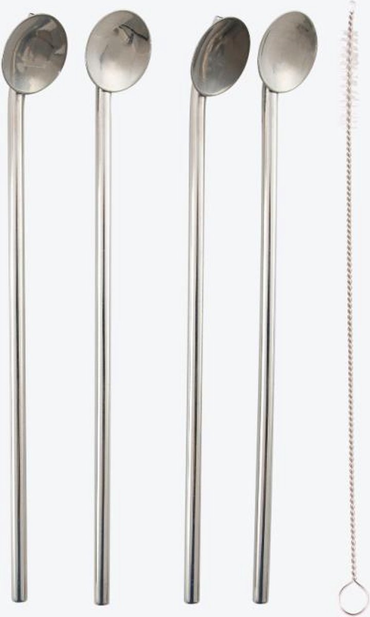 Point-Virgule set van 4 cocktaillepels/rietjes uit rvs met reinigingsborstel 21.5cm