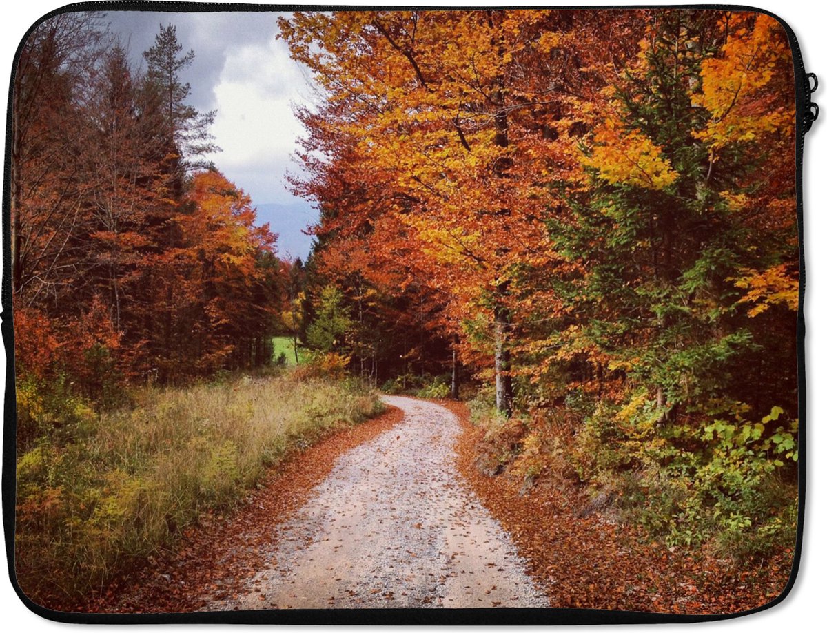 Laptophoes 15.6 inch - Herfst - Herfstbladeren - Pad - Bos - Laptop sleeve - Binnenmaat 37x26 cm - Zwarte achterkant