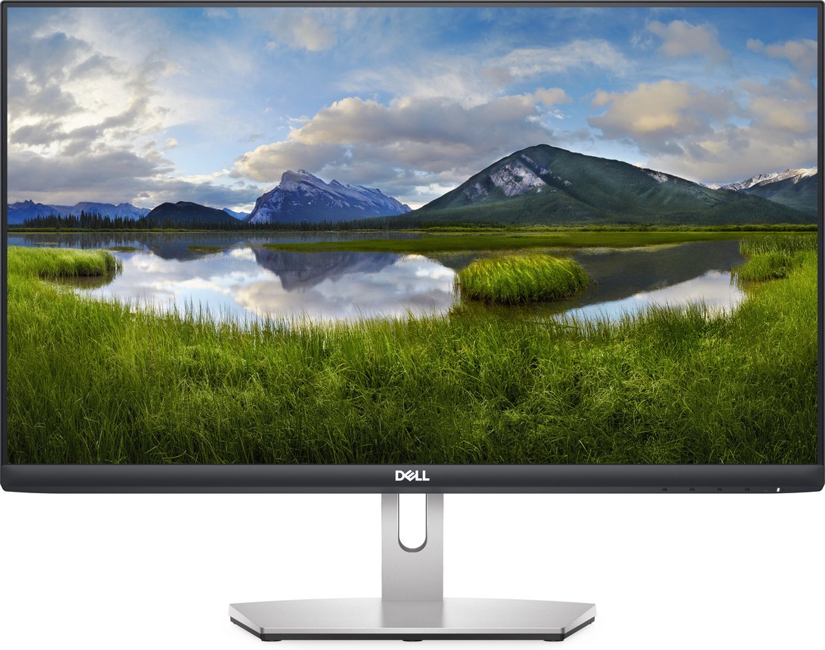 DELL S Series S2421HN 60,5 cm (23.8) 1920 x 1080 Pixels Full HD LCD Grijs