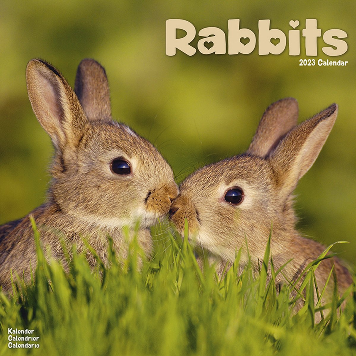 Rabbits Kalender 2023