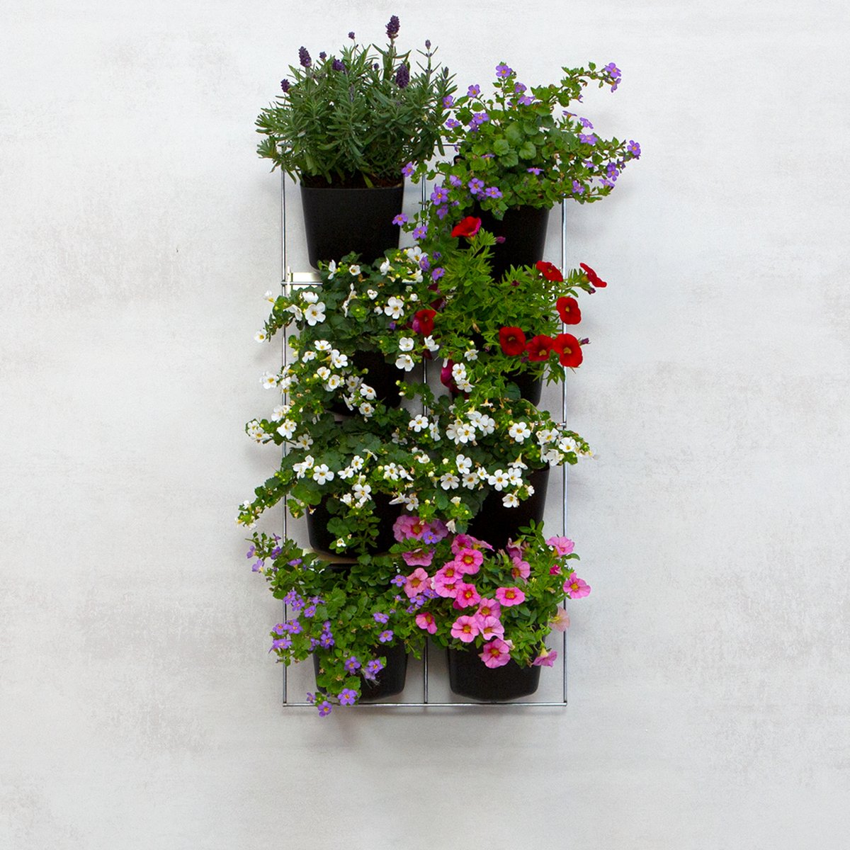 Mijn Verticale Tuin - Voor Buiten - Compleet Startpakket (Small) 30cm x 60cm - 8 Bakjes - Plantenbak aan de muur - Groene wand - Groene muur - Moestuin - Balkonbak - Plantenmuur