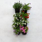 Mon Jardin Vertical - Pour l'extérieur - Pack de démarrage complet (Petit) 30cm x 60cm - 8 Bacs - Jardinière murale - Mur végétal - Mur végétal - Potager - Jardinière de balcon - Mur végétal