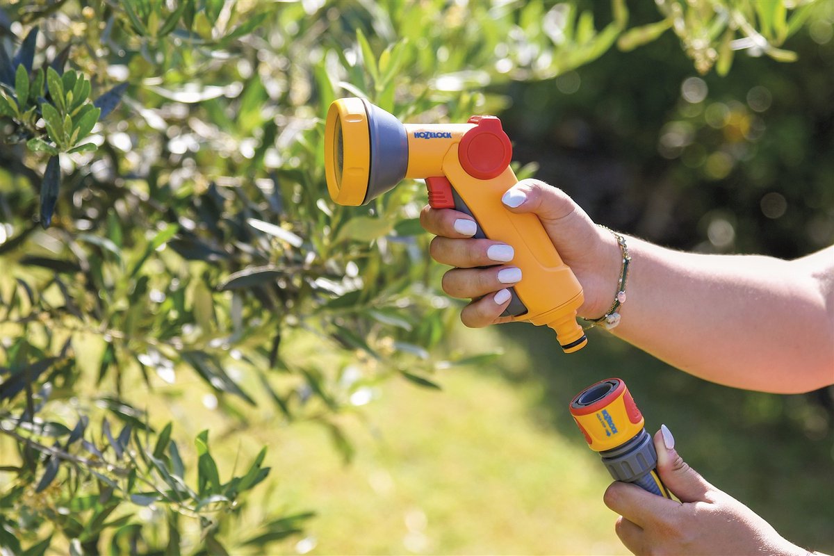 Hozelock Rose Spraygun Kit de démarrage